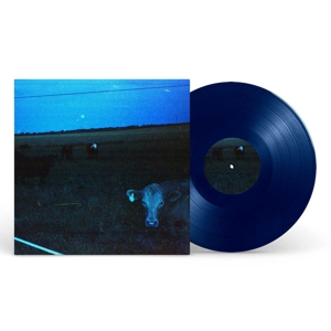 Antarctica (Dark Blue) by Waveform