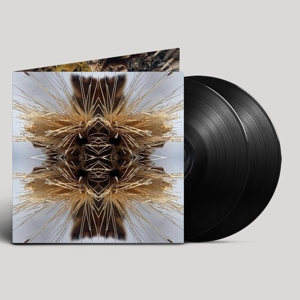 Sutra by Yakuza