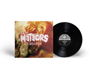 40 Days a Rotting by Meteors