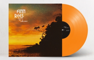 Dawn is a Melody by Rees, Finn
