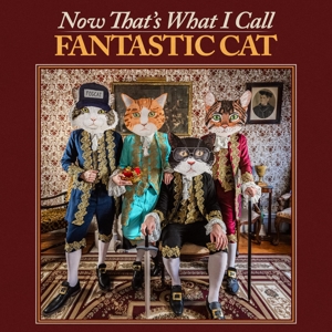 Now That's What I Call Fantastic Cat by Fantastic Cat