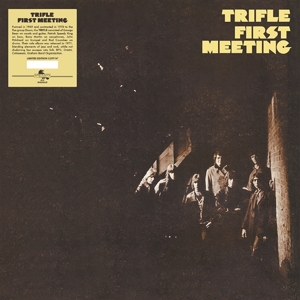 First Meeting by Trifle