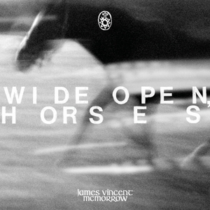 Wide Open, Horses by McMorrow, James Vincent