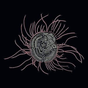Bearings: Soundtrack For the Bardos by Baird, Ka