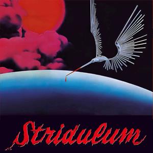 7-Stridulum by Micalizzi, Franco