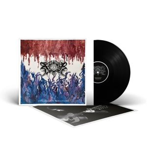 Disharmonic Variations by Xasthur