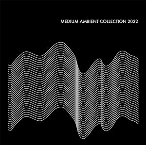 Medium Ambient Collection 2022 by V/A