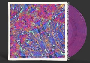 Placenta by Carlos Nino & Friends