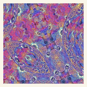 Placenta by Carlos Nino & Friends
