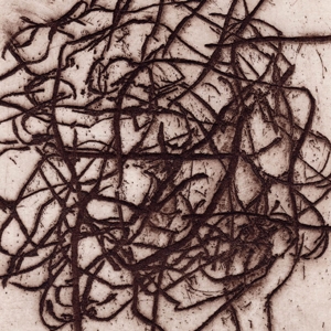 Arrhythmian by Leimer, K. & Marc Barecca