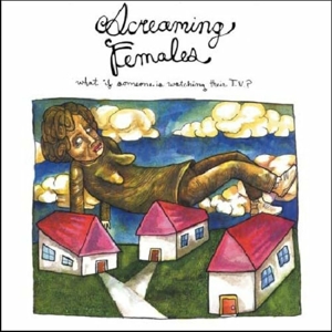 What If Someone is Watching Their Tv? by Screaming Females