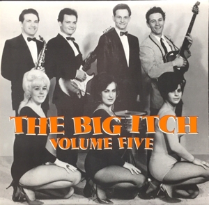 Big Itch, Vol. 5 by V/A
