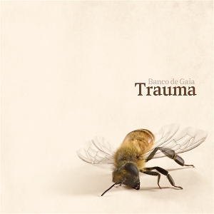 Trauma by Banco De Gaia