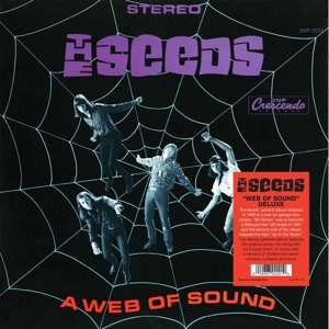 A Web of Sound by Seeds