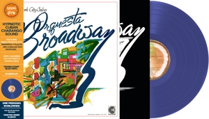 New Yor City Salsa by Orquestra Brodway