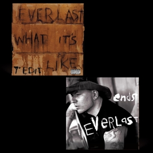 7-What Its Like/Ends by Everlast