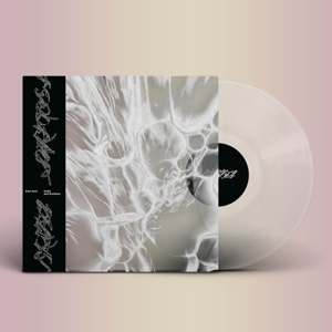 Drifts and Surfaces by Saxl, Elori