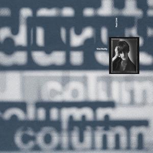 Vini Reilly by Durutti Column