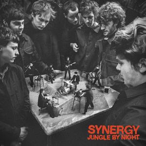 Synergy by Jungle By Night