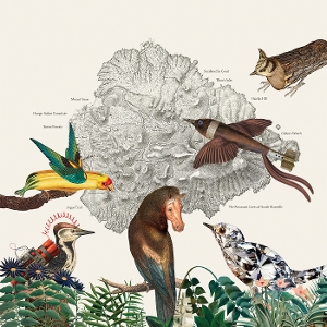Birds of Marsville by Friendly Rich