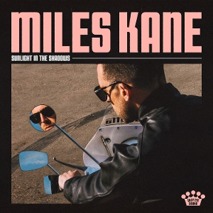 Sunlight In the Shadows by Kane, Miles