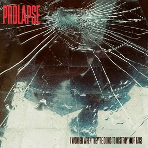 I Wonder When They're Going To Destroy Your Face by Prolapse
