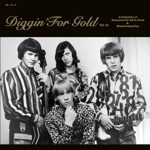 Diggin' For Gold Vol. 14 by V/A