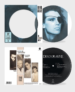 7-In Too Deep by Dead or Alive