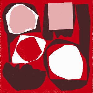 Mr Bongo Record Club Volume Five by V/A