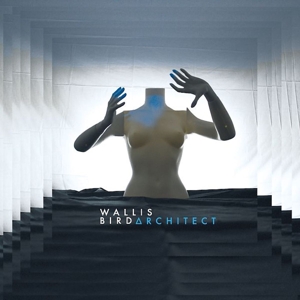 Architect by Bird, Wallis