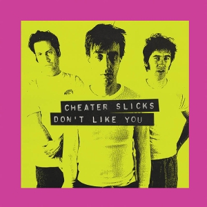 Don't Like You by Cheater Slicks