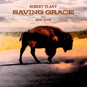 Saving Grace by Plant, Robert