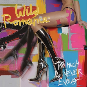 Too Much is Never Enough by Wild Romance