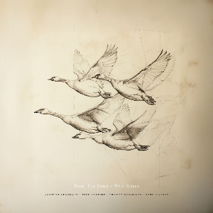 Wild Geese by Near the Pond