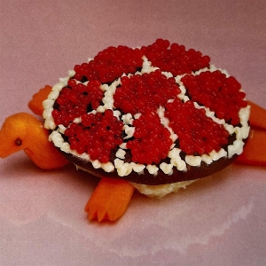 Turtle Rock by Sharp Pins