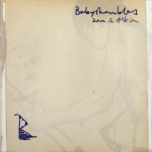 Down In Albion by Babyshambles