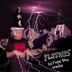 Scrape the Walls by Fleshies