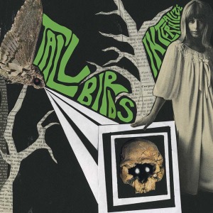 Internalize/Sky is Fall by Tall Birds