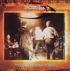What You Want is What You Get by Barracudas