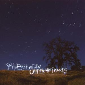 Under the Boards by Saves the Day