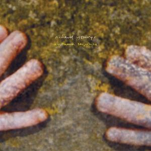 Autumn Response by Youngs, Richard