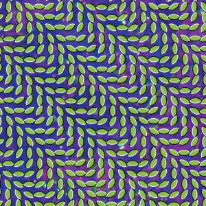 Merriweather Post Pavilli by Animal Collective