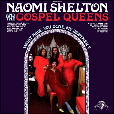 What Have You Done My Brother by Shelton, Naomi