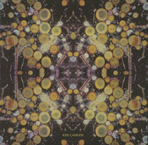 Lethargy & Repercussions by Camden, Ken