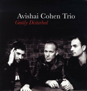 Gently Disturbed by Cohen, Avishai