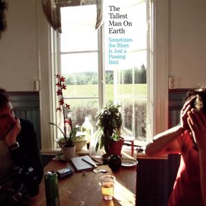 Sometimes the Blues is Just a Passing (Mini-Album) by Tallest Man On Earth