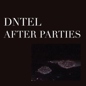 After Parties 2 by Dntel
