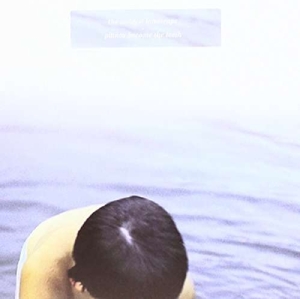 Split by Saddest Landscape