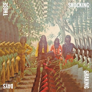 Those Shocking Shaking Days by V/A