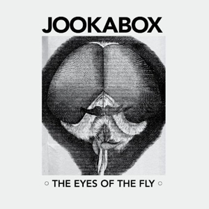 Eyes of the Fly by Jookabox